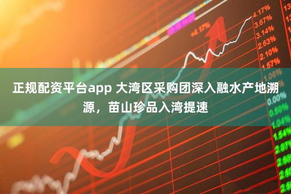 正规配资平台app 大湾区采购团深入融水产地溯源，苗山珍品入湾提速
